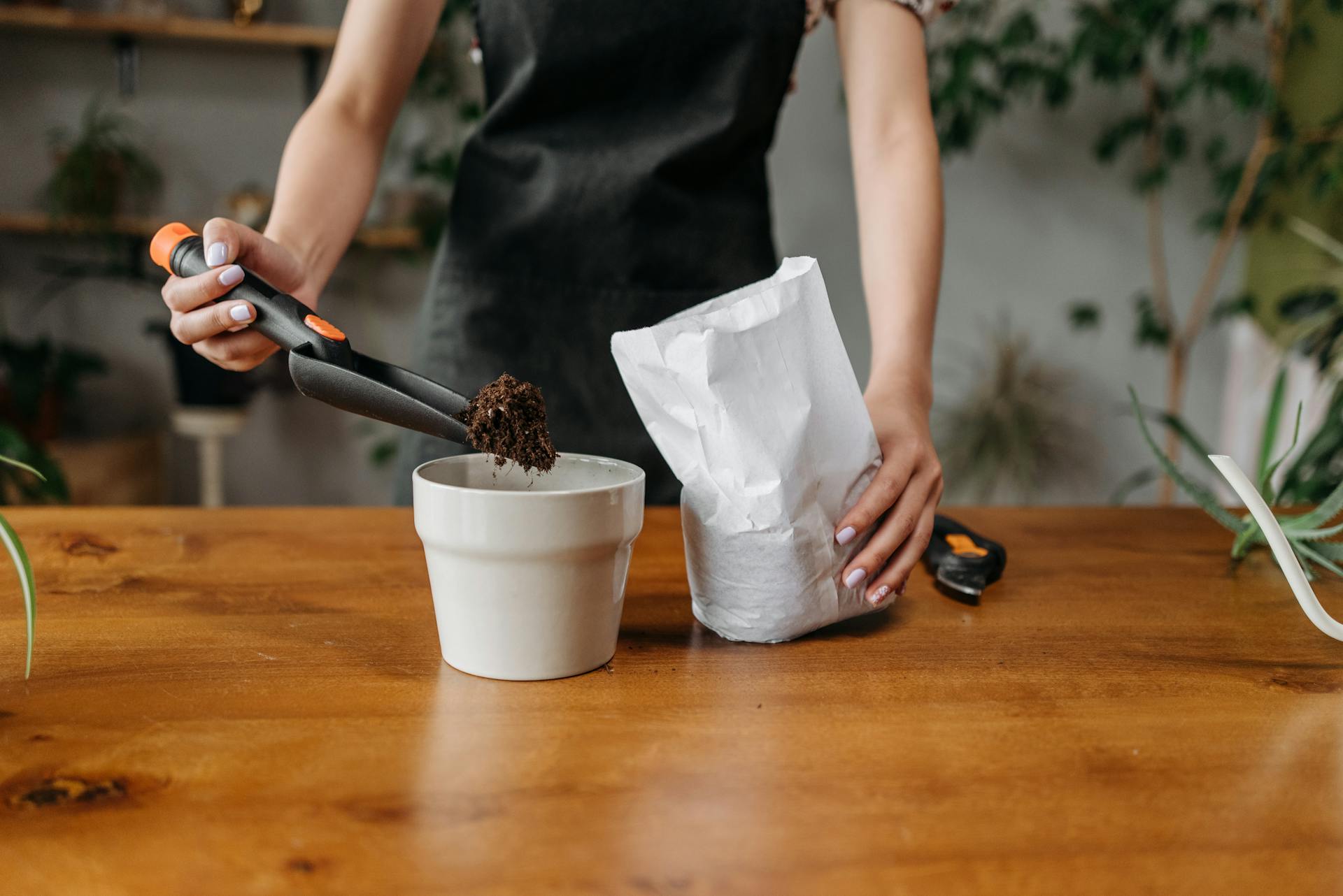The Health Benefits of Your Daily Cup of Coffee